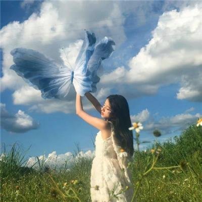 华丽一族